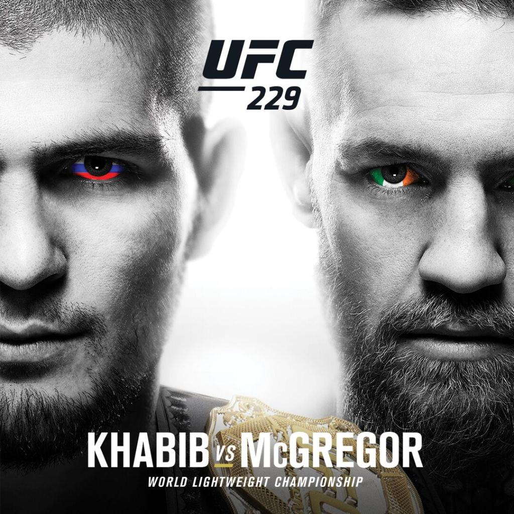 Poster/affiche UFC 229