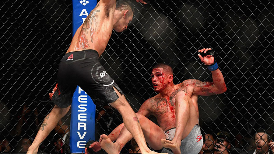 UFC 229 - Tony Ferguson contre Anthony Pettis