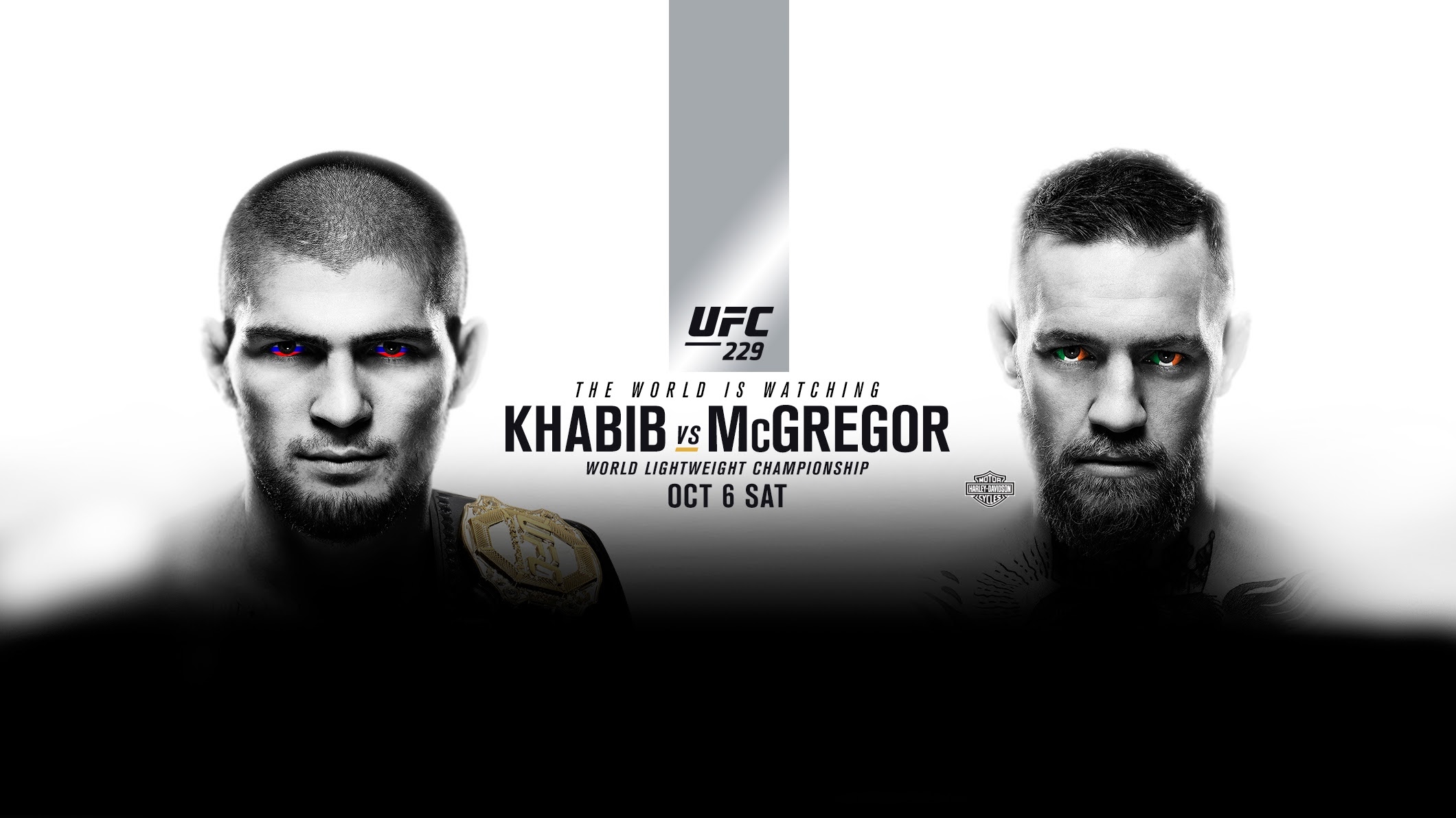 Poster/affiche UFC 229