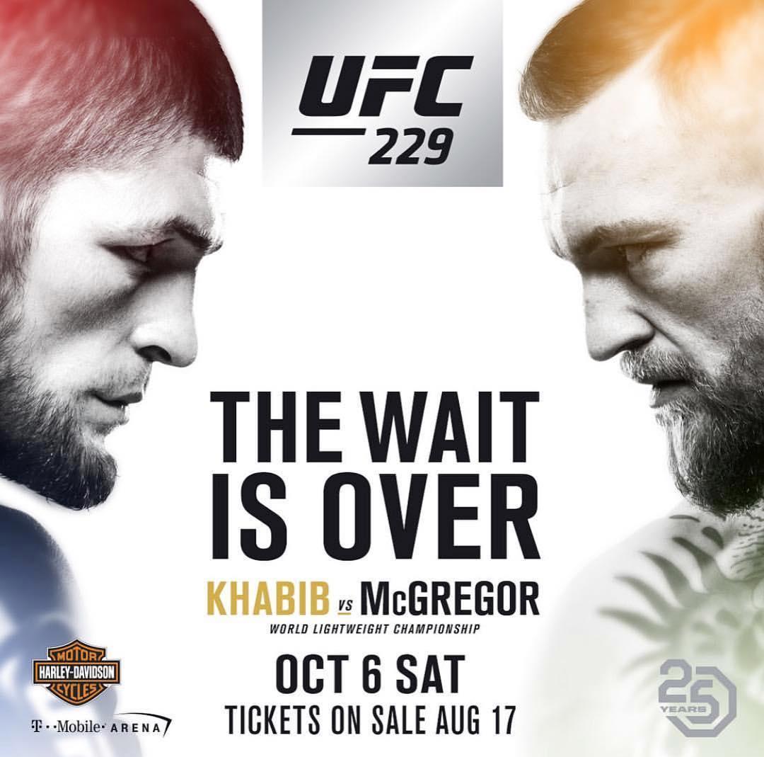 Poster/affiche UFC 229