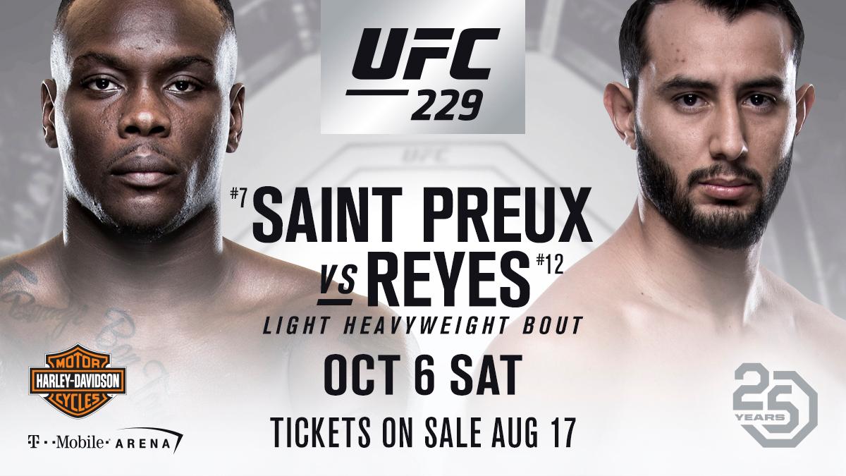 Poster/affiche UFC 229