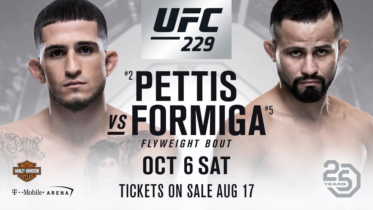 Poster/affiche UFC 229