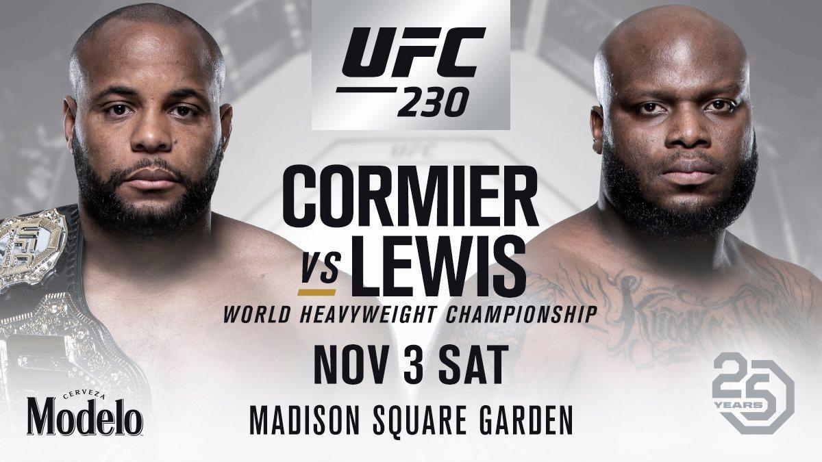 Poster/affiche UFC 230