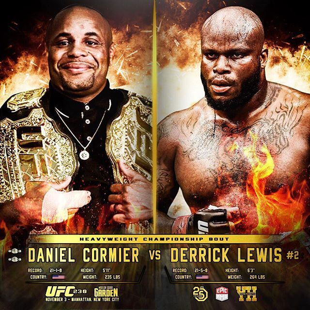 Poster/affiche UFC 230