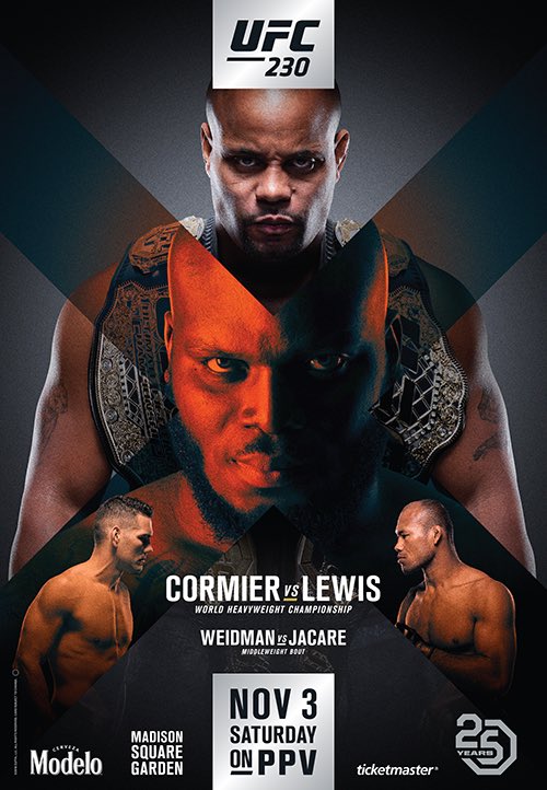 Poster/affiche UFC 230