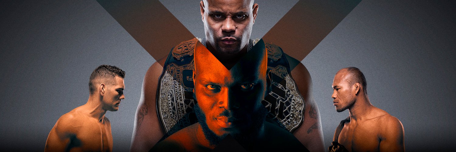 Poster/affiche UFC 230