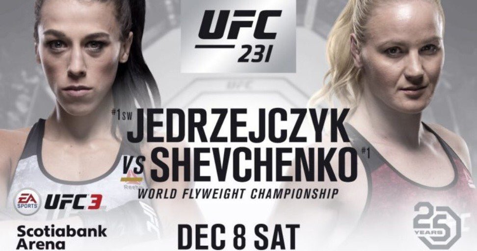 Poster/affiche UFC 231