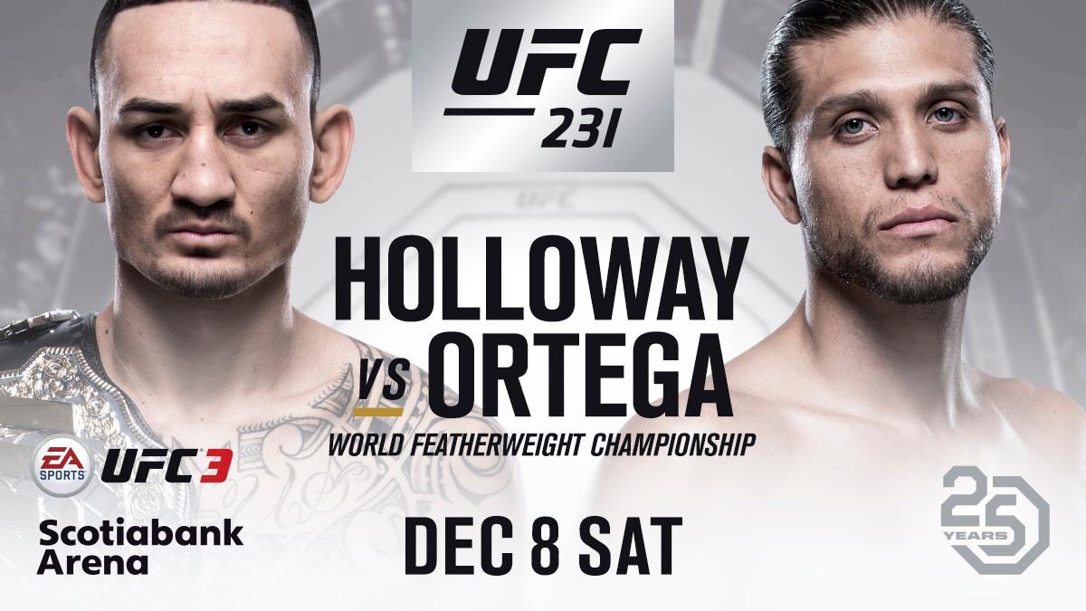 Poster/affiche UFC 231