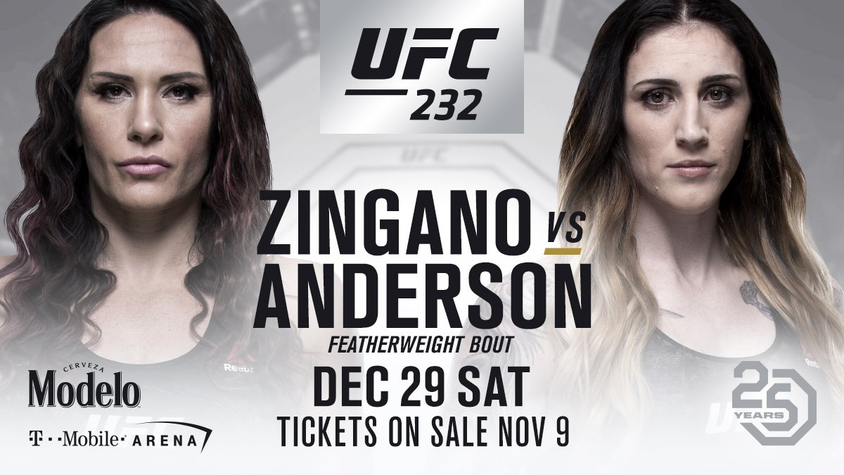 Poster/affiche UFC 232