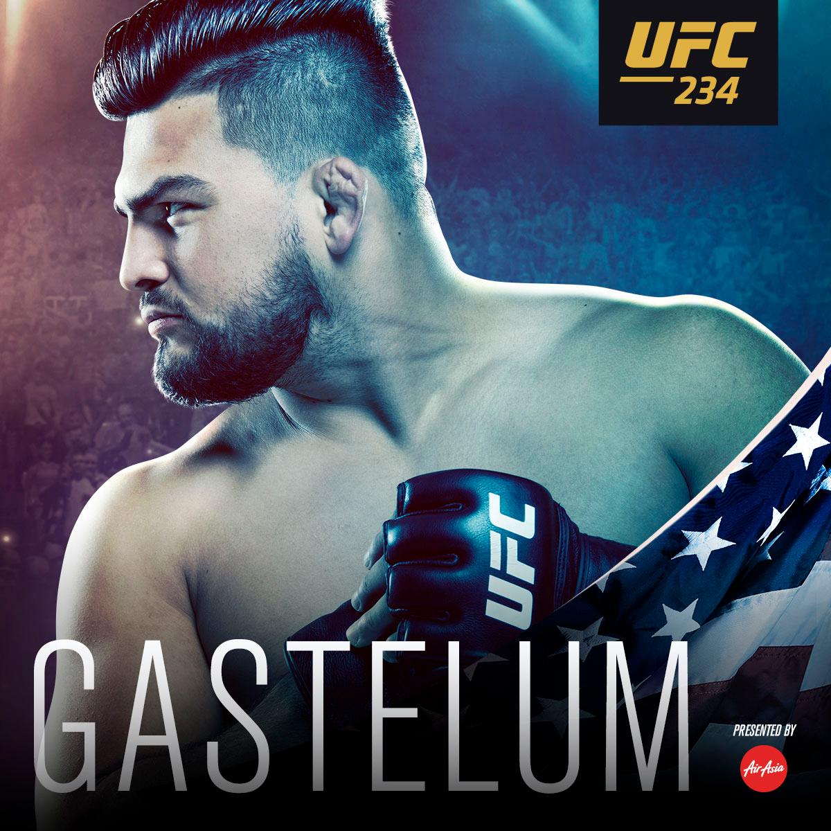 Poster/affiche UFC 234