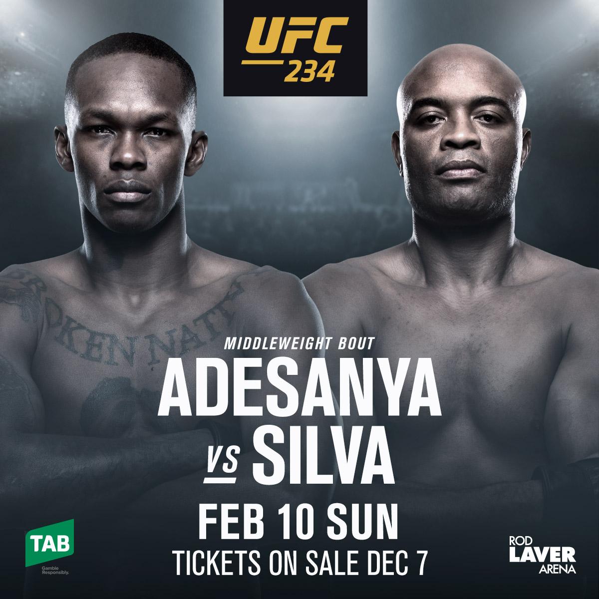 Poster/affiche UFC 234