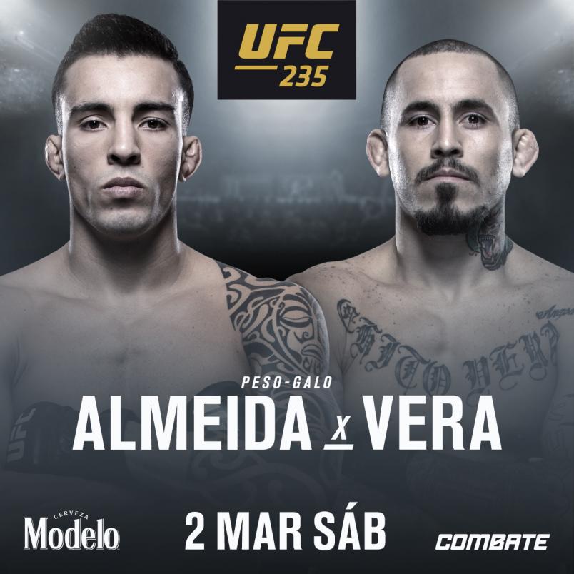 Poster/affiche UFC 235