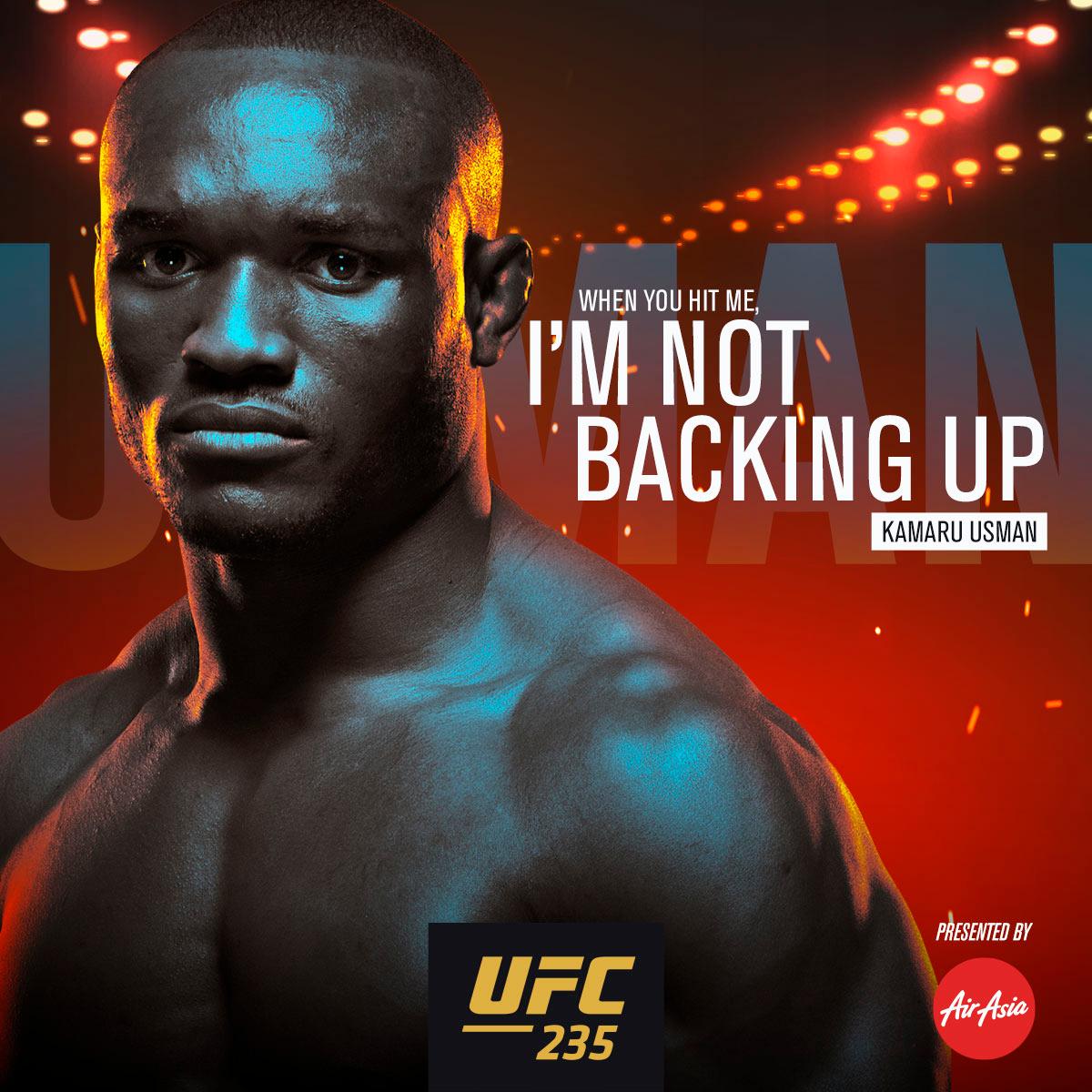 Poster/affiche UFC 235