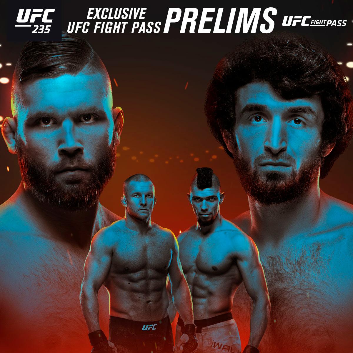 Poster/affiche UFC 235