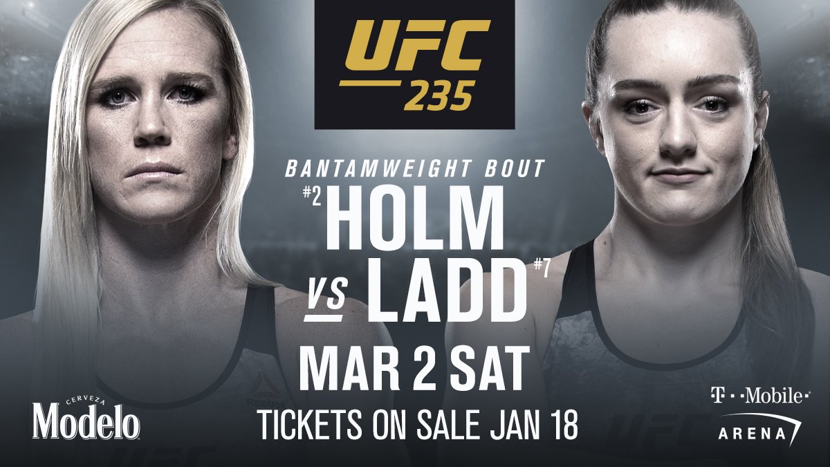 Poster/affiche UFC 235