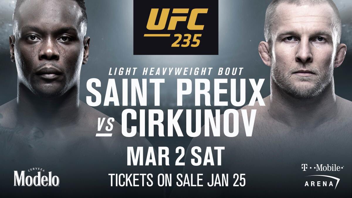 Poster/affiche UFC 235