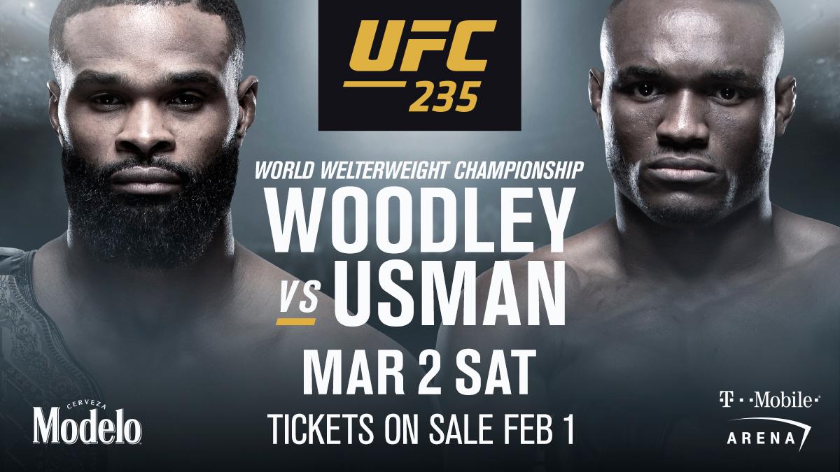 Poster/affiche UFC 235