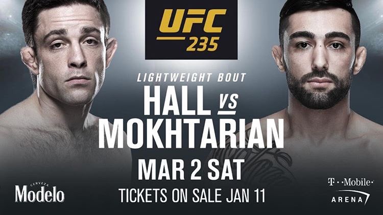 Poster/affiche UFC 235