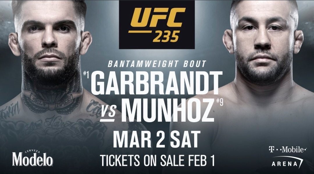 Poster/affiche UFC 235