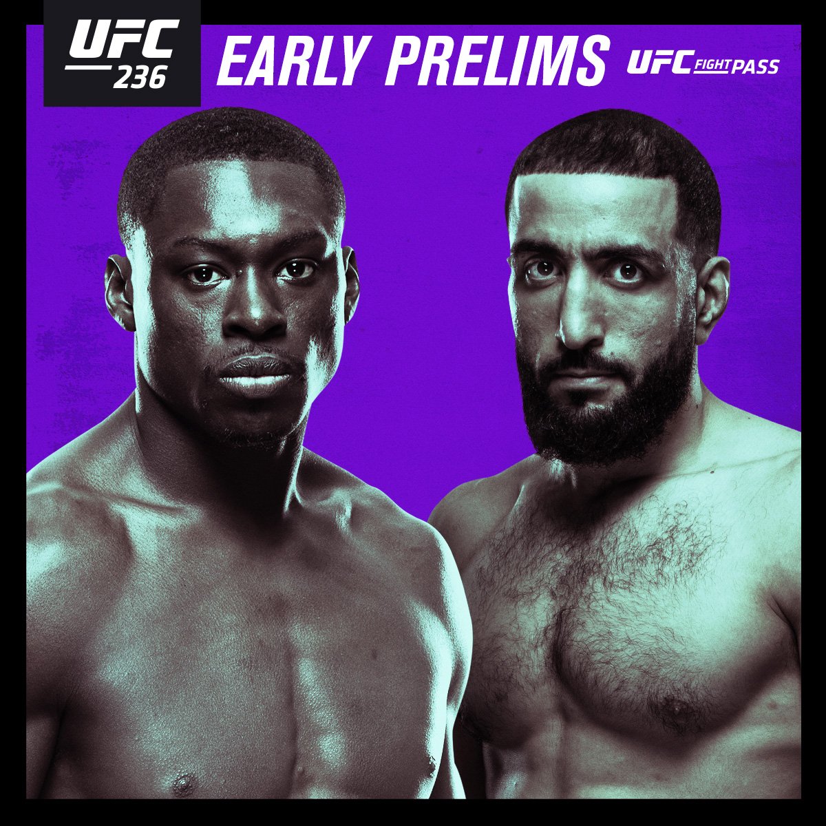 Poster/affiche UFC 236