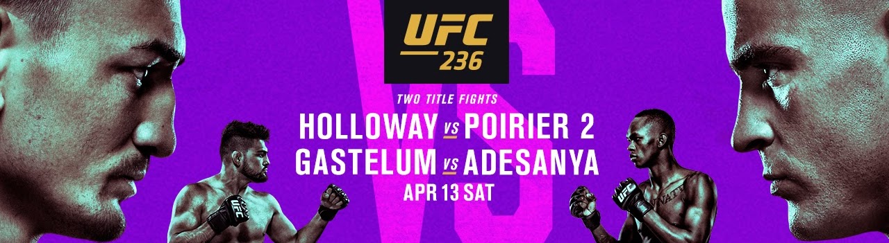 Poster/affiche UFC 236