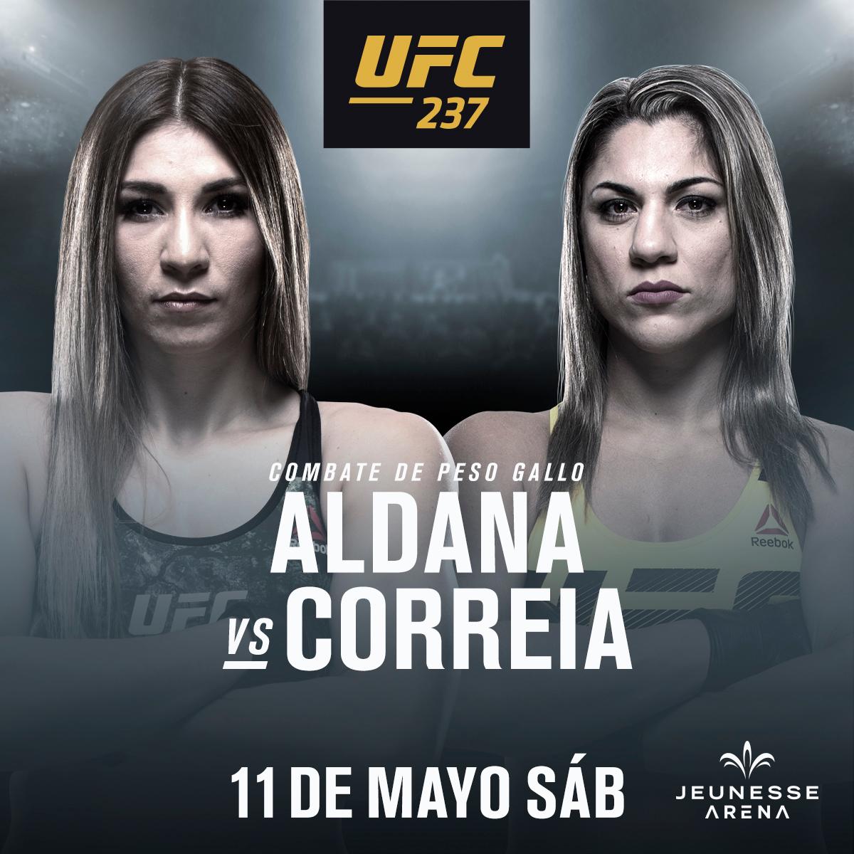 Poster/affiche UFC 237