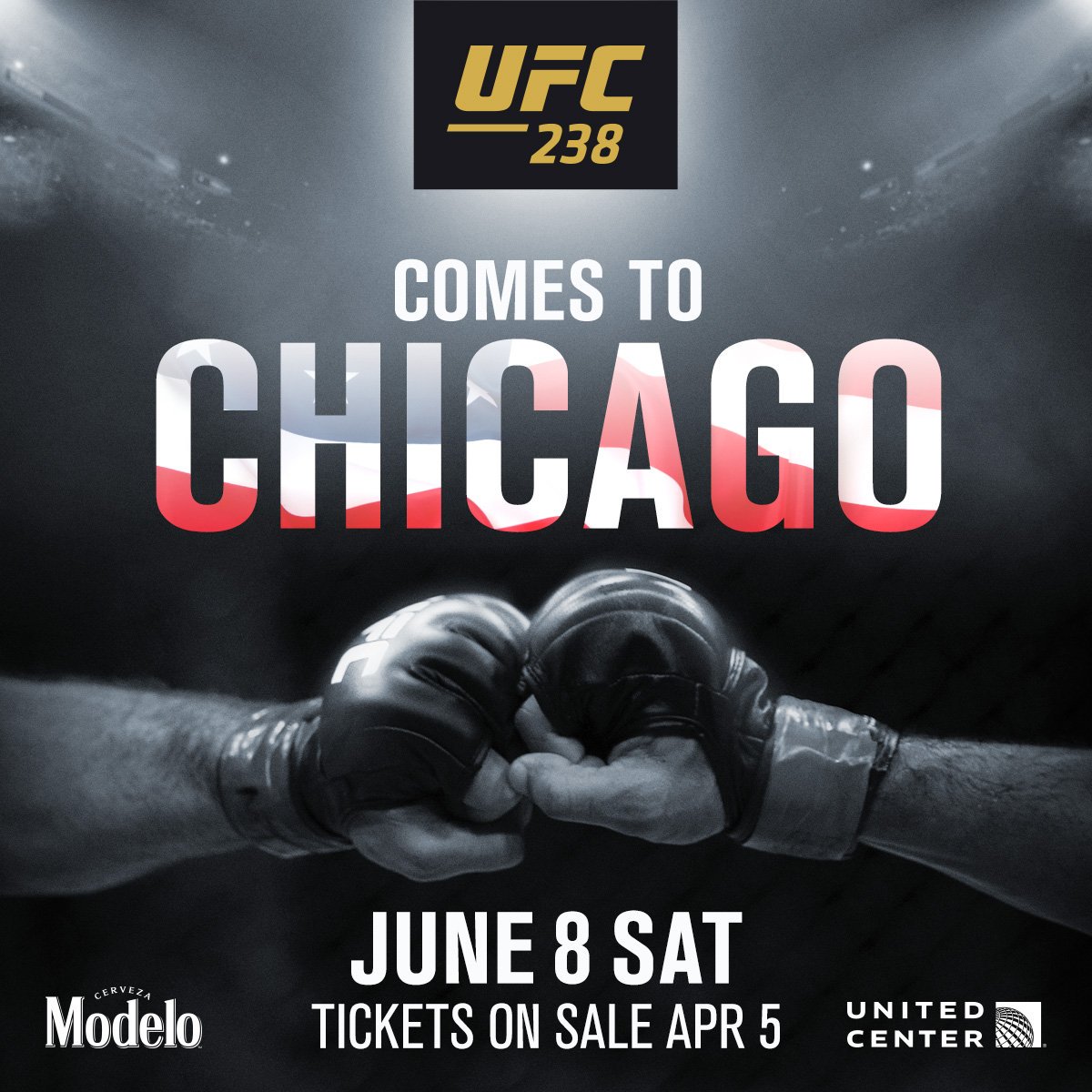 Poster/affiche UFC 238