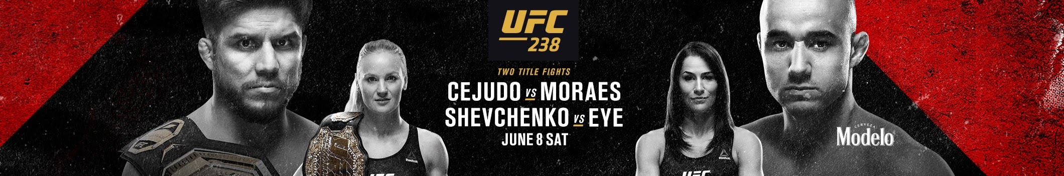 Poster/affiche UFC 238