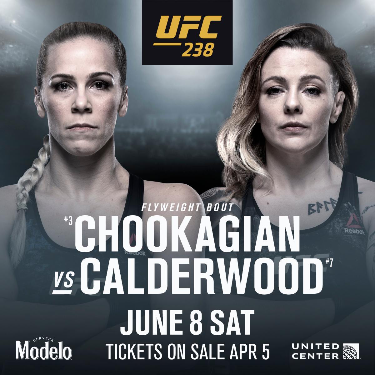 Poster/affiche UFC 238