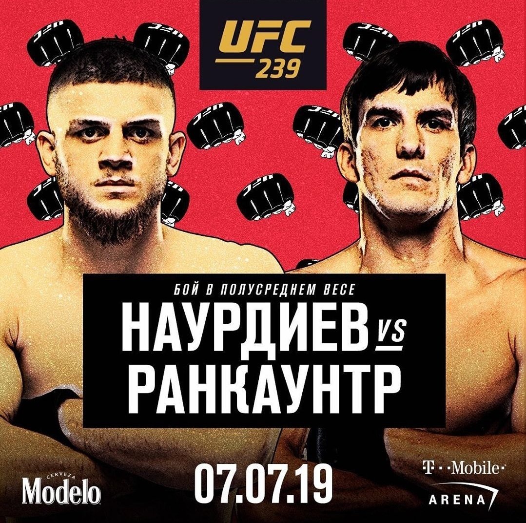 Poster/affiche UFC 239