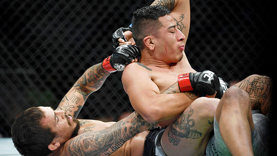 Marlon Vera contre Nohelin Hernandez