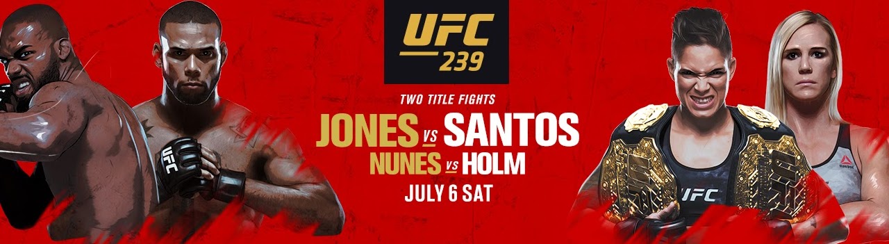 Poster/affiche UFC 239