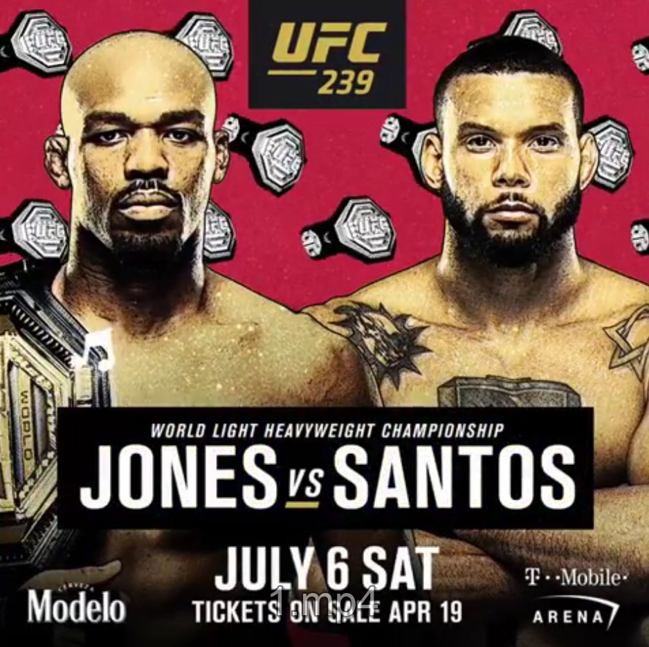 Poster/affiche UFC 239