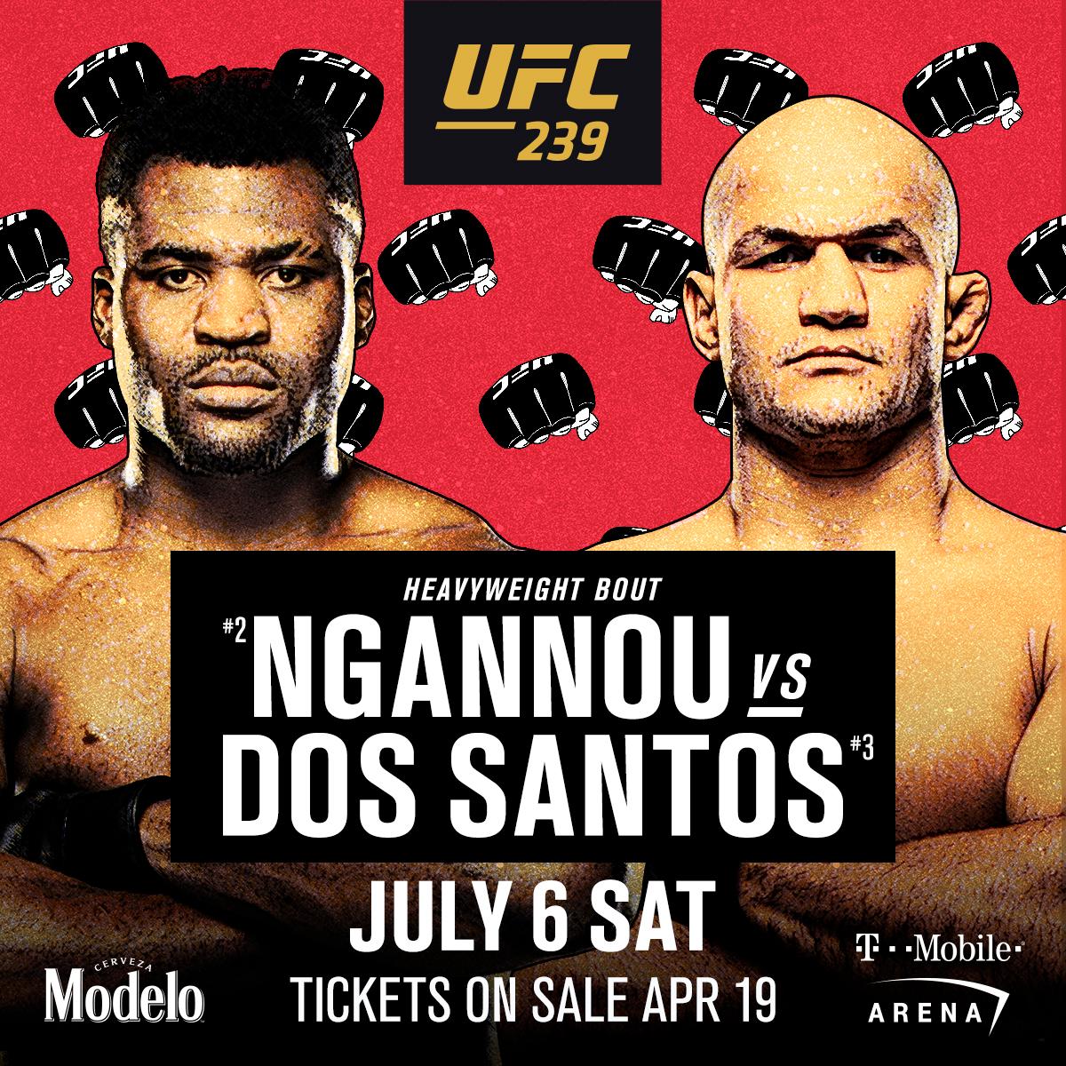 Poster/affiche UFC 239