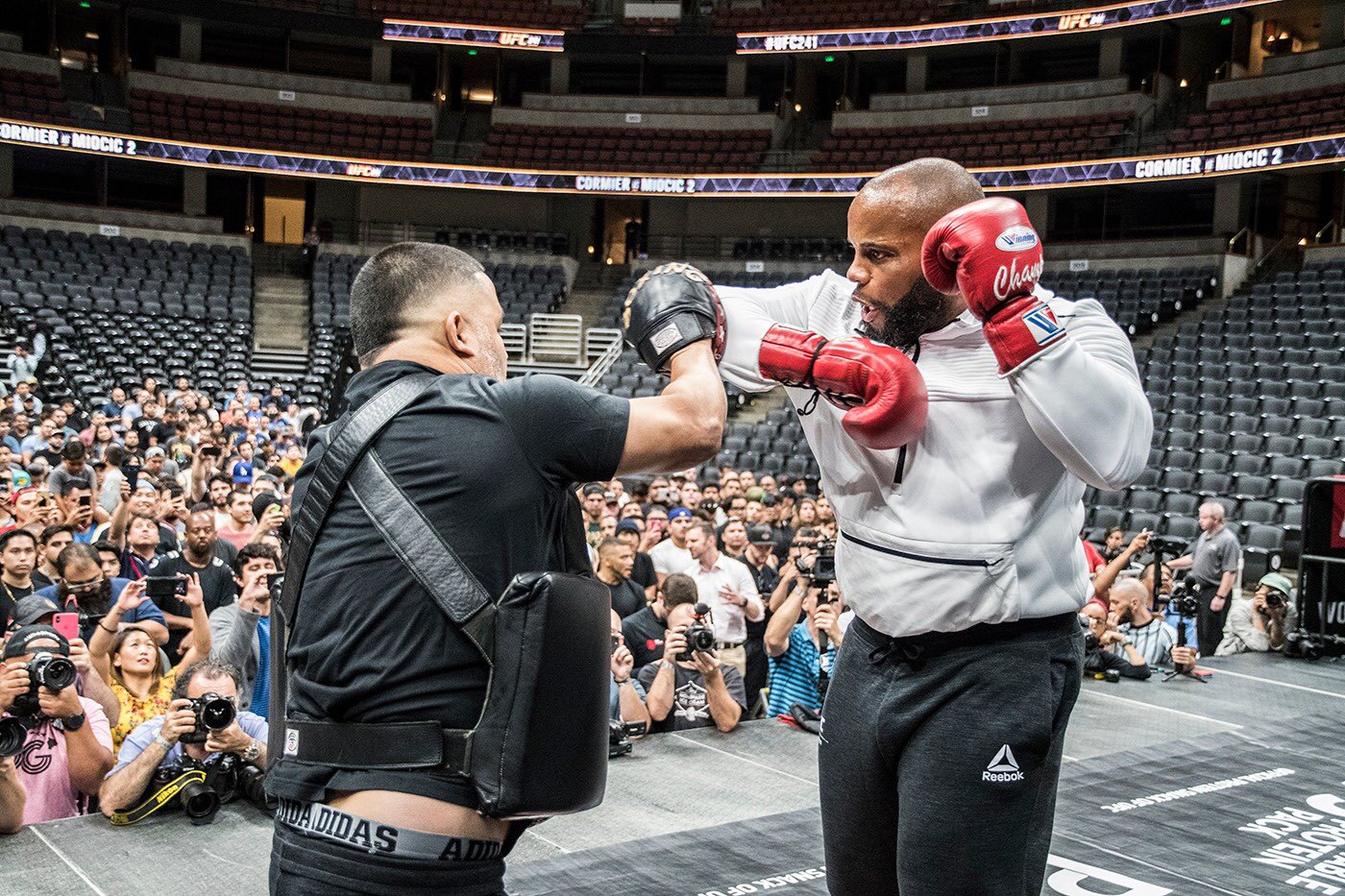 UFC 241 - Daniel Cormier