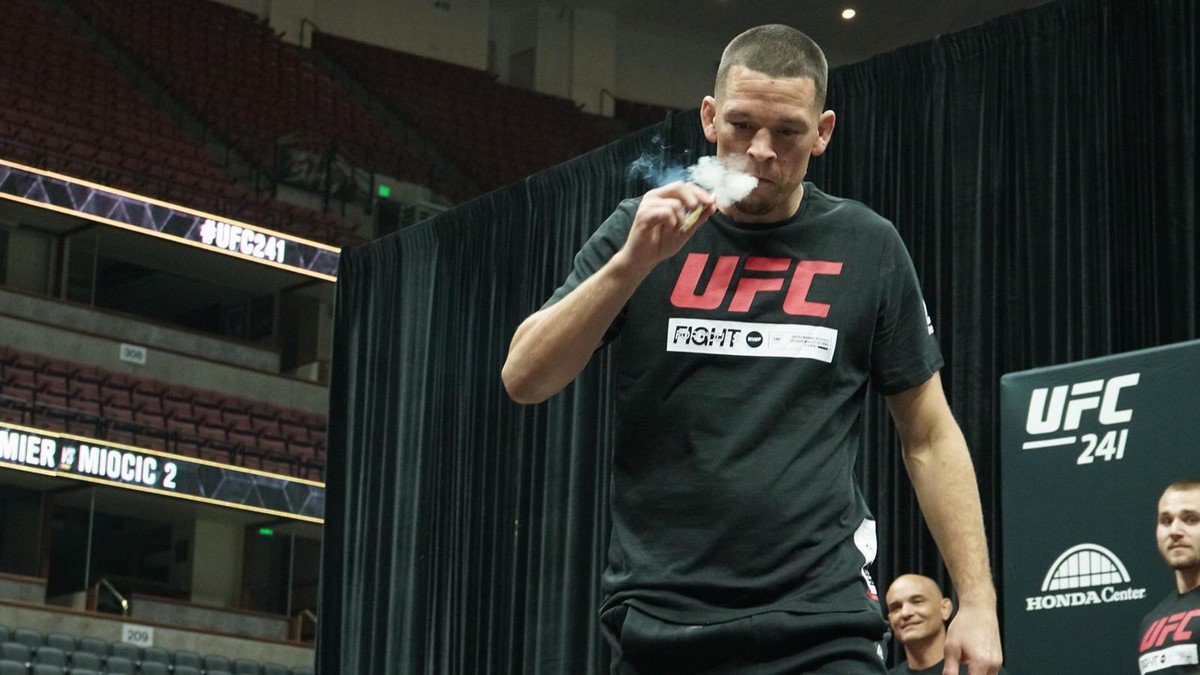 UFC 241 - Nate Diaz