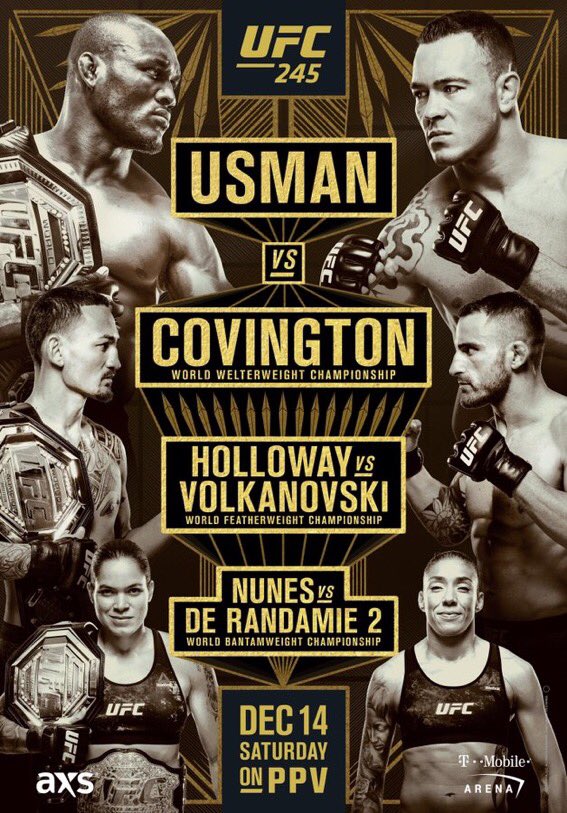 UFC 245 -  Poster affiche