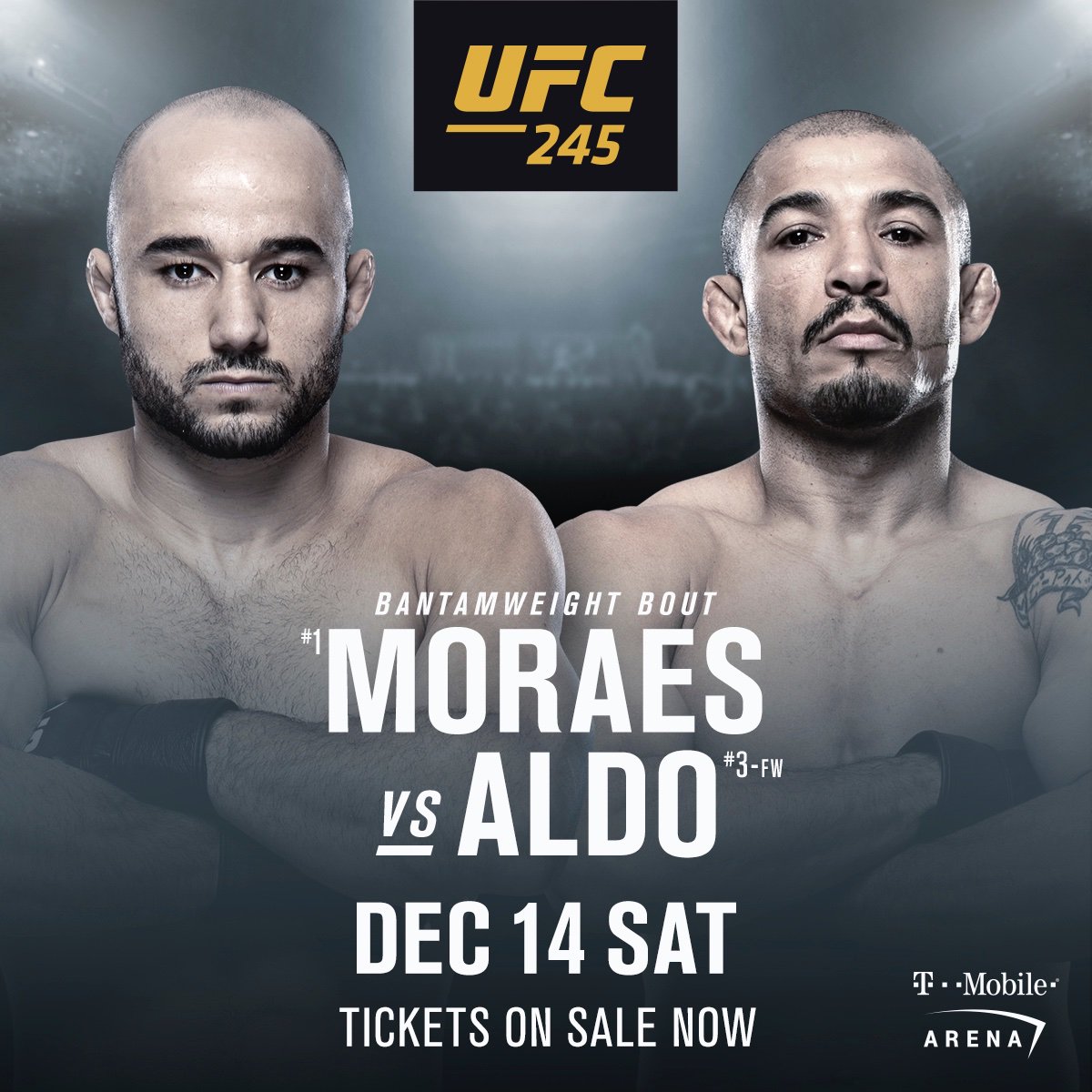 UFC 245 -  Poster affiche