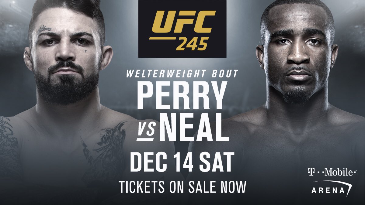 UFC 245 -  Poster affiche