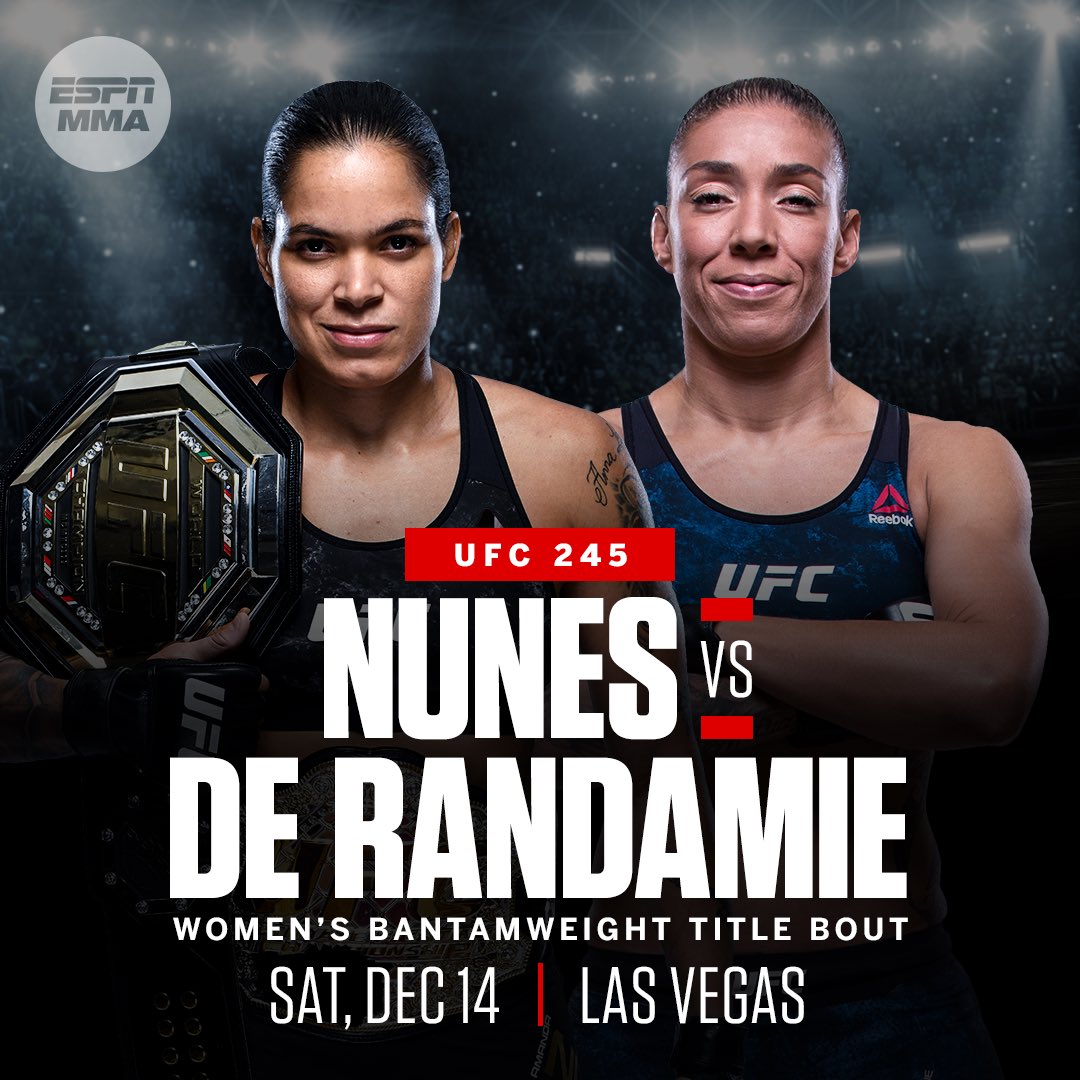 UFC 245 -  Poster affiche