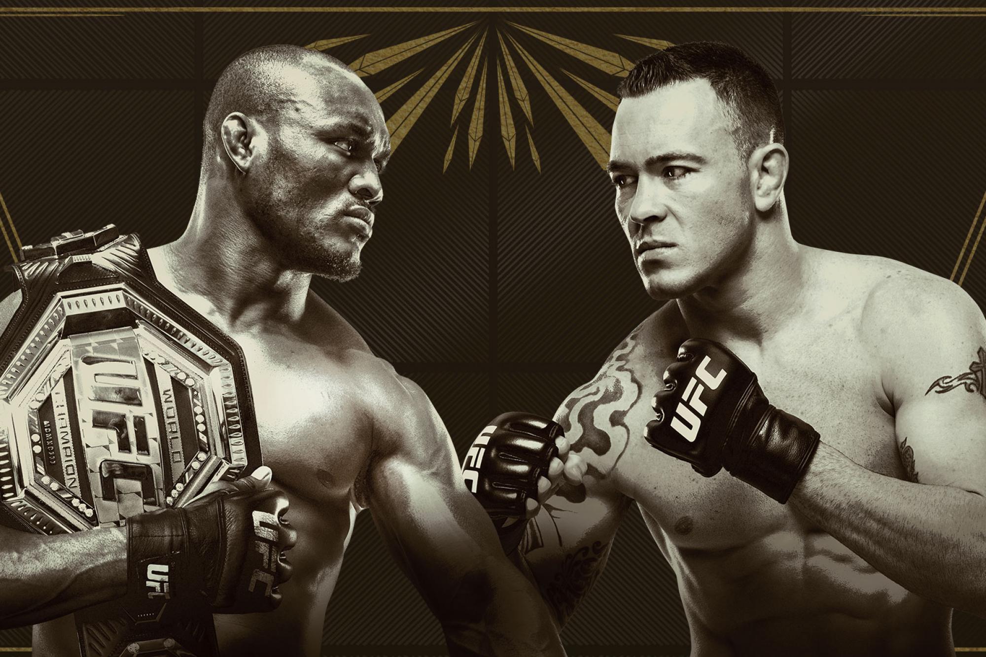 UFC 245 -  Poster affiche