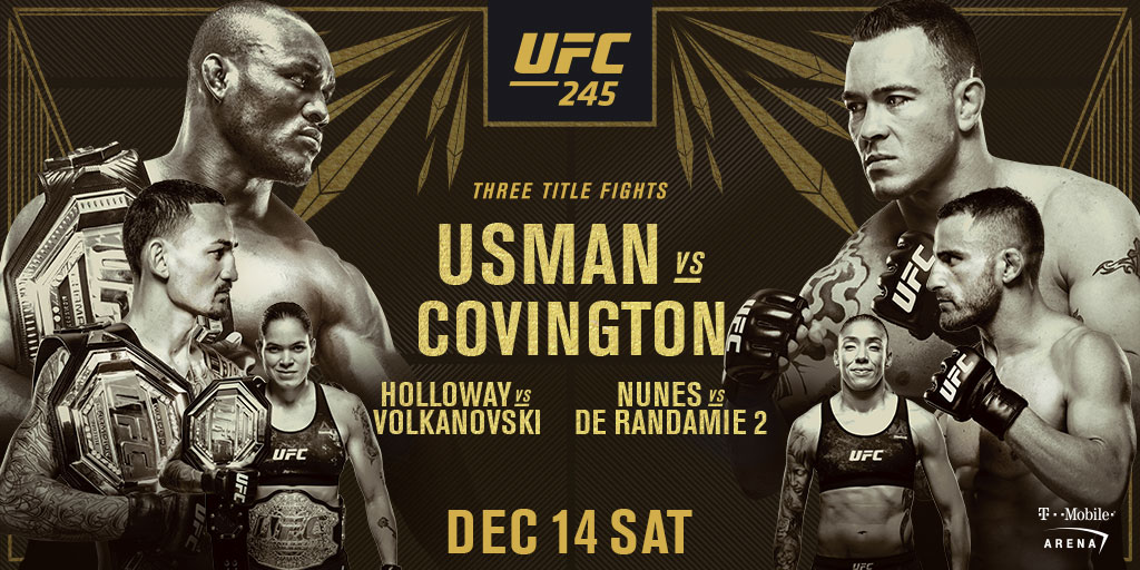 UFC 245 -  Poster affiche