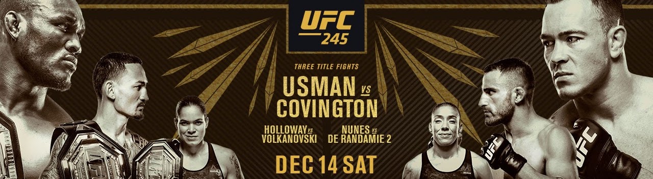 UFC 245 -  Poster affiche