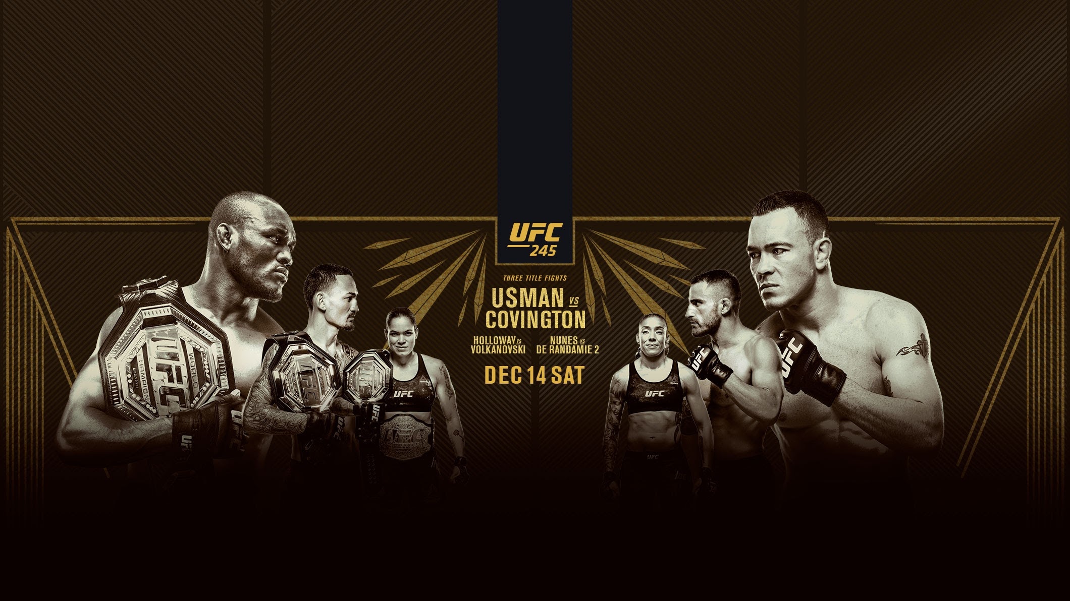 UFC 245 -  Poster affiche