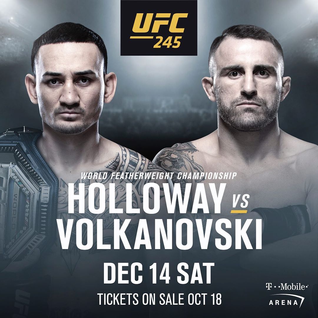 UFC 245 -  Poster affiche