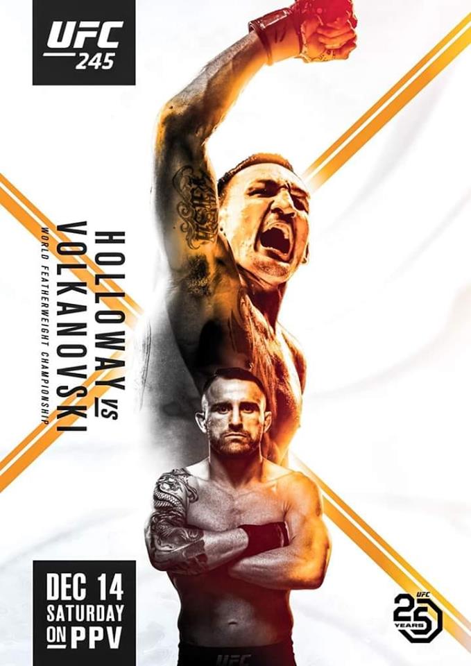 UFC 245 -  Poster affiche