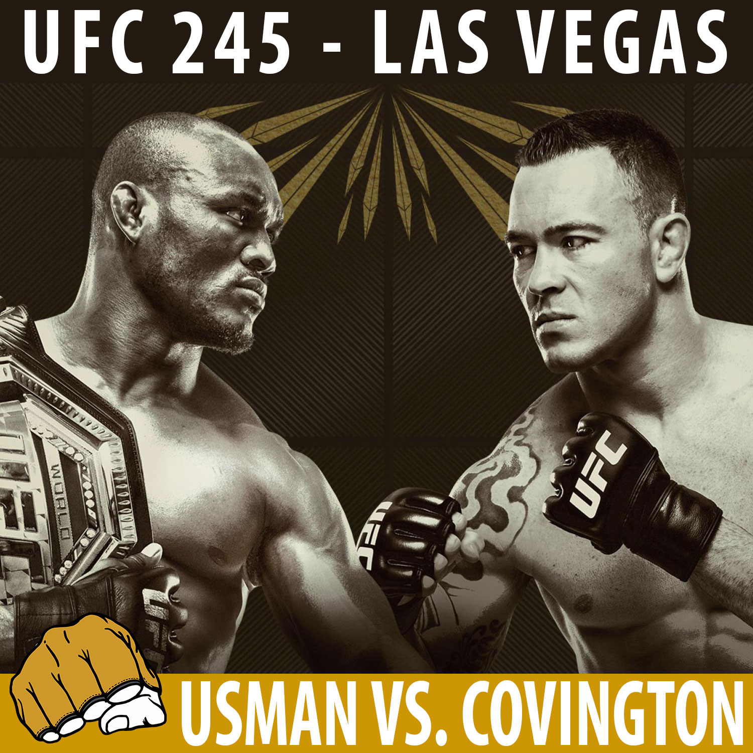 UFC 245 -  Poster affiche