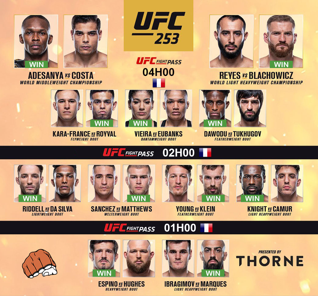 UFC 253 - Carte des combats