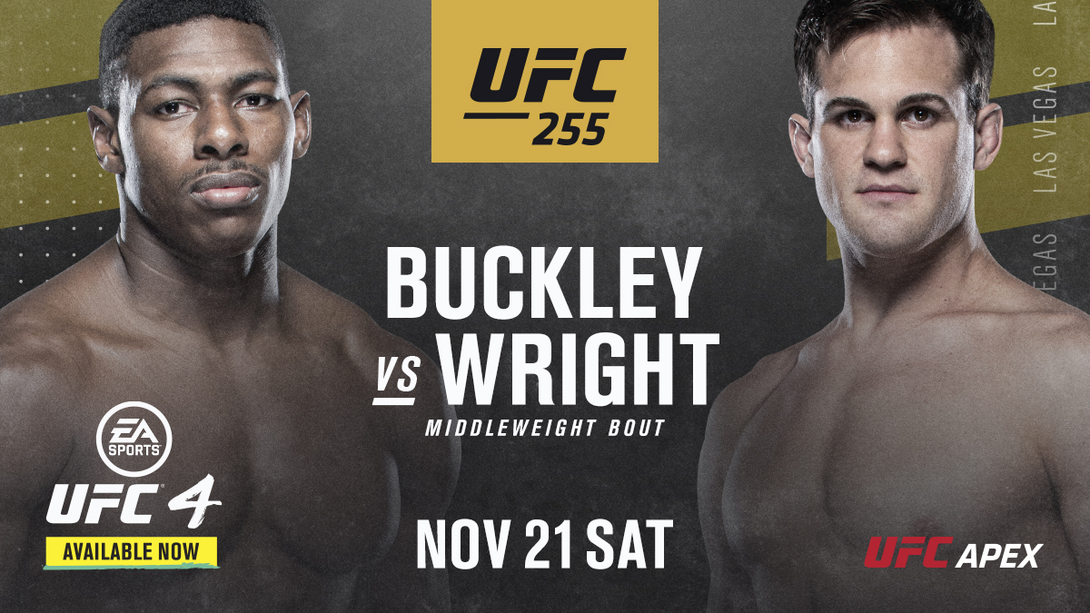 UFC 255 - Las Vegas  - Poster et affiche