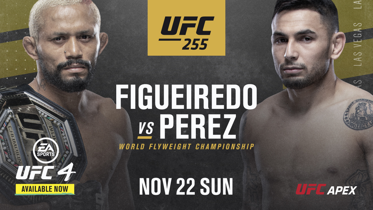 UFC 255 - Las Vegas  - Poster et affiche